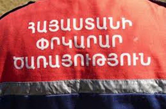 Ավտոկայանատեղիում օձ է հայտնաբերվել