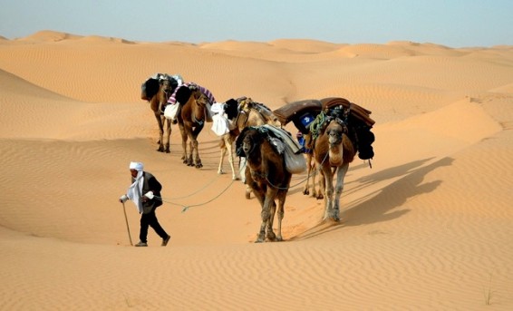 Սեպտեմբերի 24-ը Քարավան քշողի միջազգային օրն է