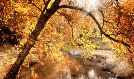 Վաղն առավելապես հյուսիսային շրջաններում սպասվում է կարճատև անձրև և ամպրոպ