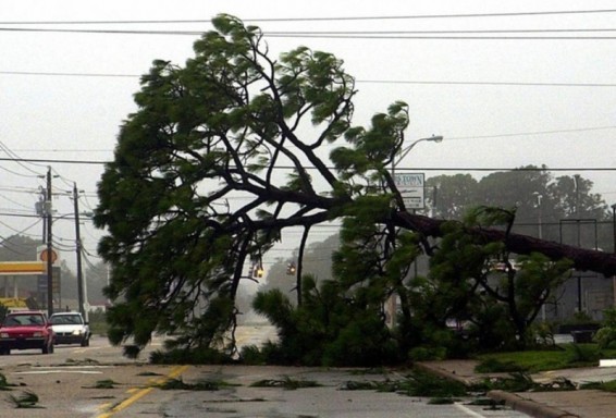 Փոթորիկը Տեխասին 1.36 մլրդ դոլարի վնաս է հասցրել