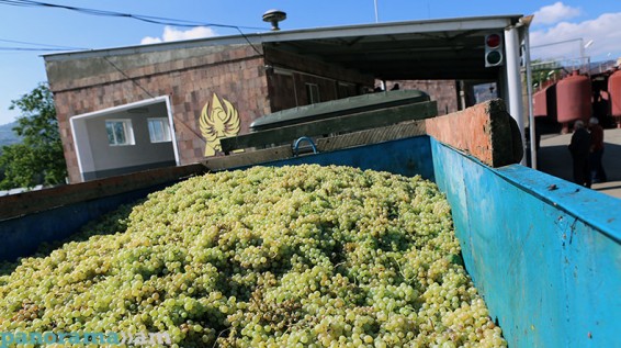 «Վինար»-ը գյուղացիներին դեռ 30 մլն դրամ պարտք է