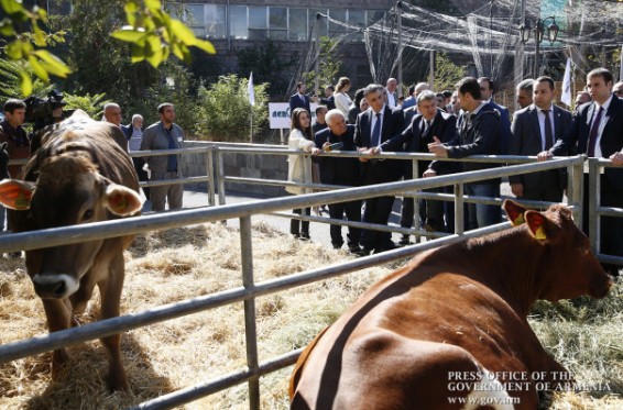 Վարչապետը ծանոթացել է «ԱրմՊրոդԷքսպո» գյուղատնտեսական ցուցահանդեսին ներկայացված արտադրանքին