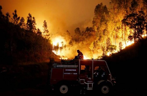 Պորտուգալիայում մոլեգնող անտառային հրդեհներն առնվազն 36 մարդու կյանք են խլել