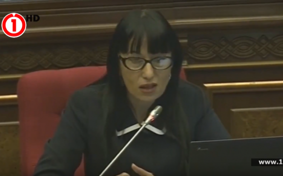 Video. Բանակը կատռգայից դարձնել ավելի գրավիչ. Նաիրա Զոհրաբյանը՝ Վիգեն Սարգսյանին