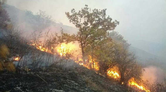 «Զանգեզուր» տեղամասում տեսուչները հրդեհի օջախ են հայտնաբերել