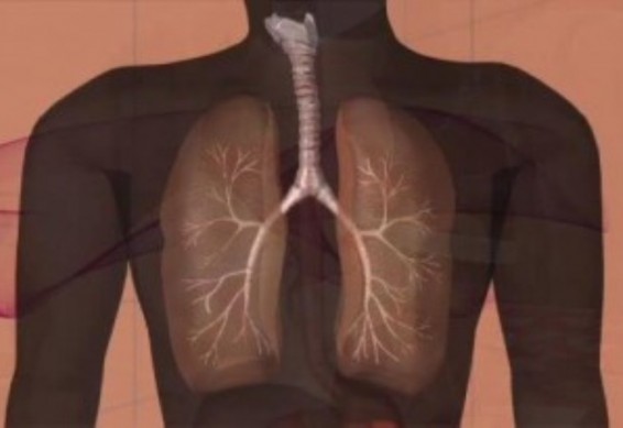5 ախտանշան, որ կարող են հուշել թոքերի քաղցկեղի զարգացման մասին