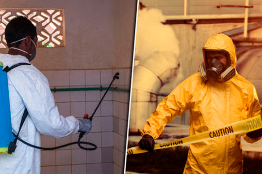 Աֆրիկյան ժանտախտը սպառնում է ամբողջ աշխարհին