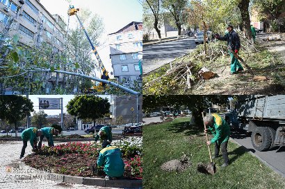 Երեւանում նախատեսվում է տնկել Հոլանդիայից բերված շուրջ 750 000 կակաչի սոխուկ. քաղաքապետարան
