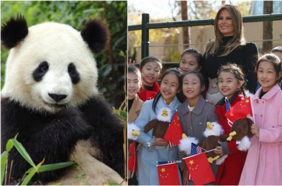 Մելանյա Թրամփն այցելել է Պեկինի կենդանաբանական այգի