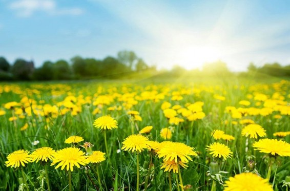 Եղանակն այսօր