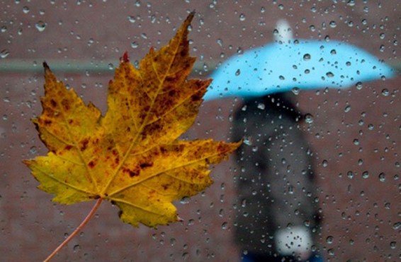 ՀՀ լեռնային շրջաններում բուք է սպասվում. եղանակը կցրտի 6-8 աստիճանով