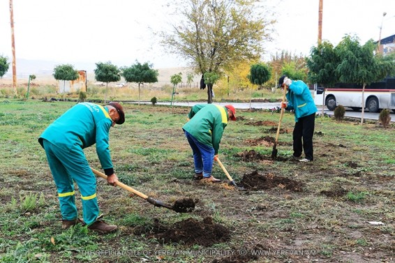 Ամփոփվել է Երևանում անցկացված աշնանային ծառատունկը