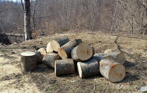 Մեկ շաբաթում շրջակա միջավայրին հասցված վնասի չափը կազմել է՝ 1.345.400 ՀՀ դրամ