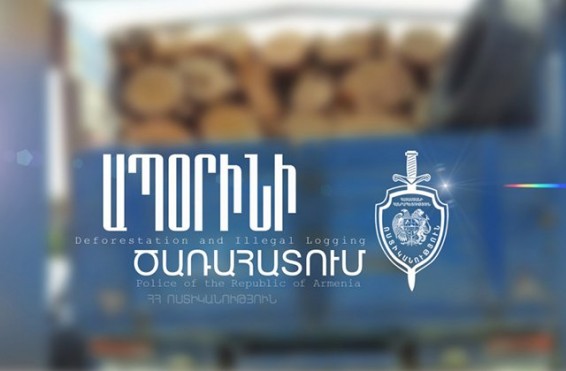 Առանց համապատասխան փաստաթղթերի վառելափայտ էին վաճառում