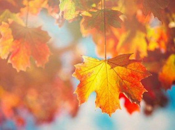 Օդի ջերմաստիճանը նոյեմբերի 29-ի գիշերը կբարձրանա 3-4 աստիճանով