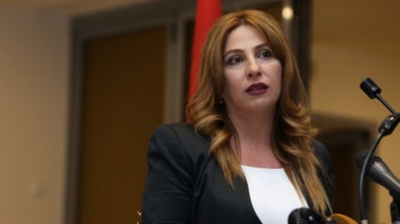Երկիր Ծիրանիի անդամները բոյկոտեցին ԵԼՔ-ի կողմից ներկայացված նախագծերը