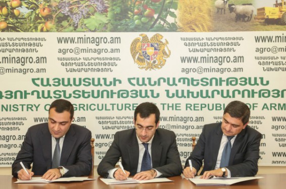 Եռակողմ հուշագիր` գյուղատնտեսական վարկերի սուբսիդավորման ծրագրի շրջանակում. 300 շառահու արդեն վարկավորվել է