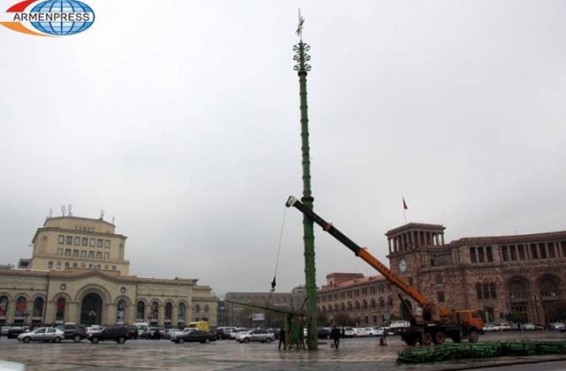 Հրապարակում տեղադրում են գլխավոր տոնածառը