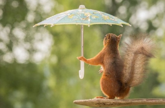 Օդի ջերմաստիճանը դեկտեմբերի 1-ի գիշերը կնվազի 5-7 աստիճանով