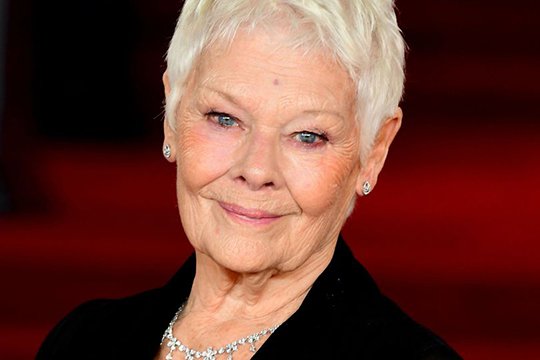 Բոնդի մասին ֆիլմերի դերասանուհին գրեթե կորցրել է տեսողությունը