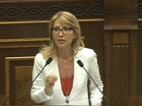 «Աղջիկները դոշերը բացում են, իրանց ճղում են». Մանե Թանդիլյանը վրդովվեց Բաբուխանյանի ելույթից