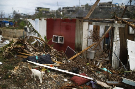 Պուերտո Ռիկոյում «Մարիա» փոթորկի զոհերի թիվը հասել է 64-ի