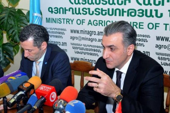 Գյուղնախարարն անդրադարձել է Հայաստան ներմուծված ԳՄՕ սերմերի հետ կապված խոսակցություններին