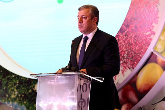 Ընտրություններից առաջ Վրաստանին անհրաժեշտ է քաղաքական կուսակցությունների Վարքագծի կանոնակարգ. Կվիրիկաշվիլի