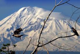 Սպասվում է առանց տեղումների եղանակ