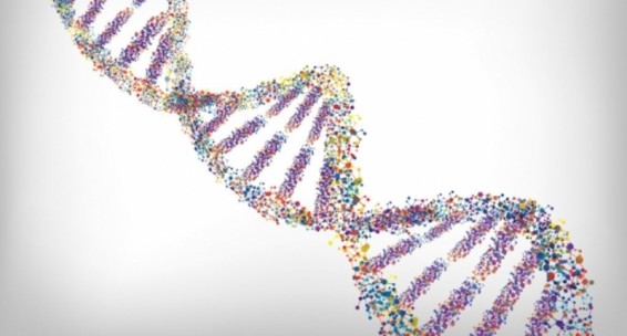 ԱՄՆ-ում կթույլատրեն խմբագրել մարդու գենո՞մը