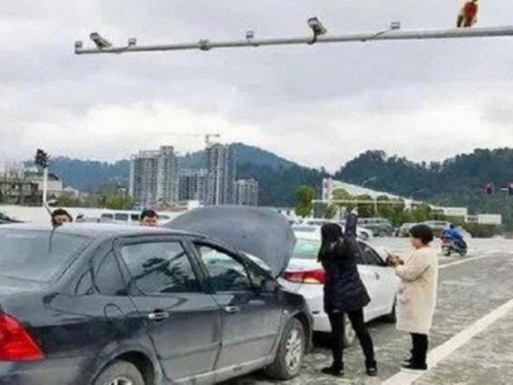 Չինաստանում կապիկի հետույքը պատահարի պատճառ է դարձել