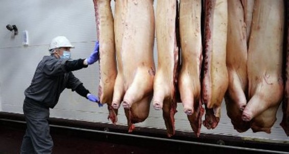 ԵՄ ՌԴ-ին ներկայացրել է խոզի մսի ներմուծման անօրինական արգելքի հաշիվը