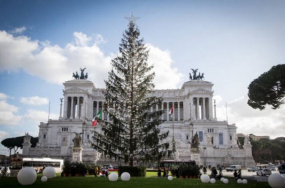 Հռոմի «խղճուկ» տոնածառը հնարավոր է տեղ գտնի թանգարանում