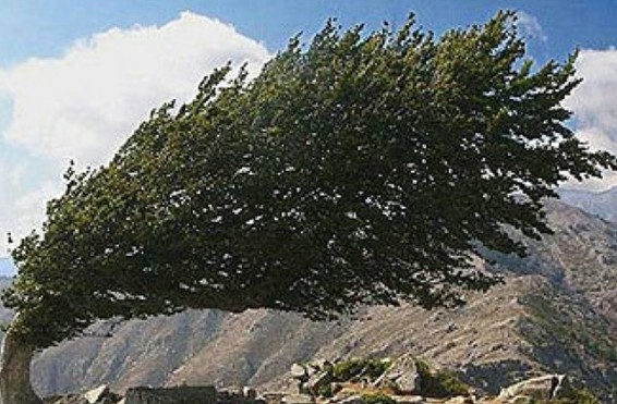 «VEON ARMENIA» ընկերության շենքի տանիքը քամուց վնասվել է