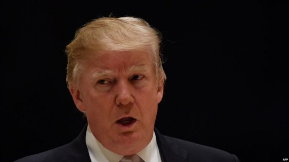 Трамп обвинил сенатора–демократа в срыве сделке по иммиграции