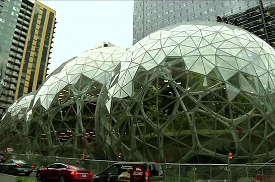 Amazon-ն իր աշխատակիցների համար արևադարձային անտառ