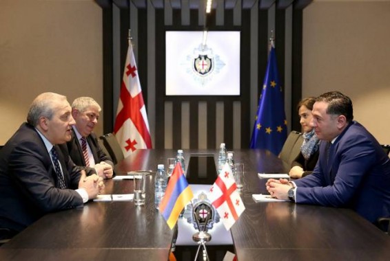 Դեսպան Սադոյանը հանդիպել է Վրաստանի պետական անվտանգության ծառայության պետի հետ
