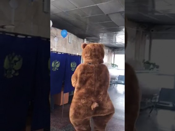 Video. «Արջ»-ը մասնակցել է ՌԴ նախագահի ընտրություններին