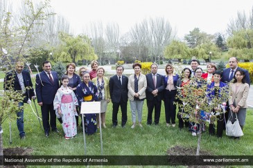 Photo. Խորհրդարանի այգում նշվել է ճապոնական Հանամի տոնը