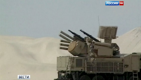 Россия поставила Сирии 40 комплексов 