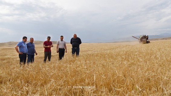 Քաշաթաղում մեկնարկել է բերքահավաքը