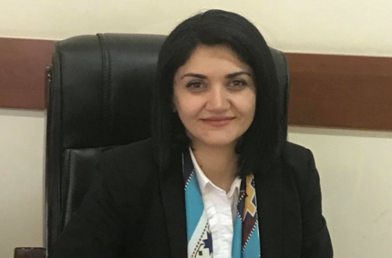 Ով է ՀՀ առողջապահության նախարարի տեղակալ Լենա Նանուշյանը