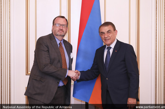 Աշխարհն ականատես եղավ, որ Հայաստանը ժողովրդավար երկիր է. Բաբլոյանը՝ ԱՄՆ դեսպանին