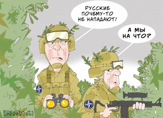 Министр обороны Австрии предлагает привлечь войска к охране границ ЕС