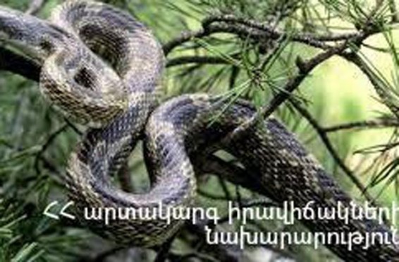 «Մոր և մանկան առողջության պահպանման գիտական կենտրոն» ՓԲԸ-ի լաբորատորիայում օձ է հայտնաբերվել