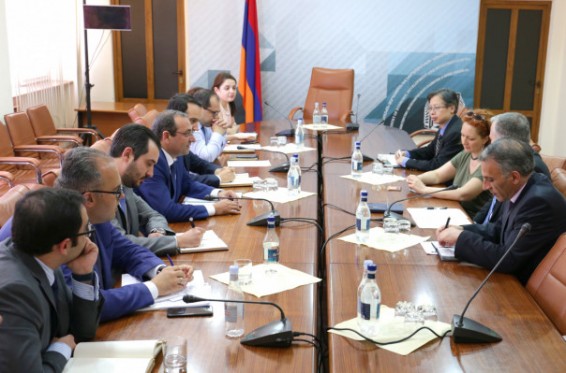 Արծվիկ Մինասյանը հանդիպում է ունեցել ԱԶԲ հայաստանյան գրասենյակի տնօրենի հետ