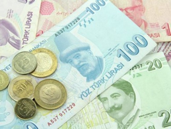 Թուրքական լիրայի փոխարժեքի անկման պատճառը ժողովրդավարությունից հեռանալն է. Սպիտակ տուն
