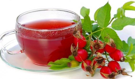 Վիտամինային թեյերի միջոցով լավացրեք նյութափոխանակությունը