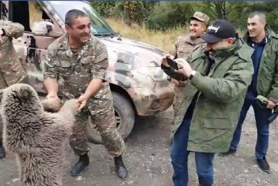 VIDEO: В Арцахе два медвежонка перекрыли путь машины премьер-министра Армении Никола Пашиняна