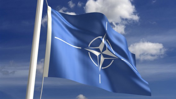 НАТО не получало запроса от Анкары помочь в поиске турецких кораблей